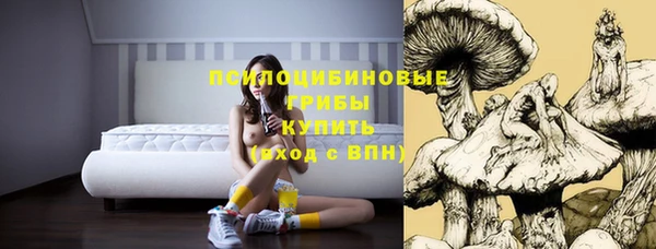 mdpv Новозыбков