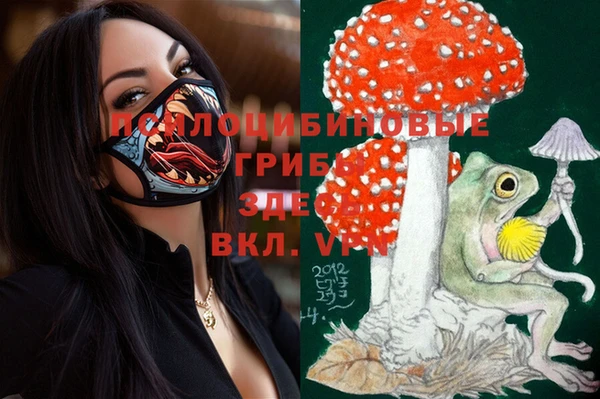 мяу мяу мука Алексеевка