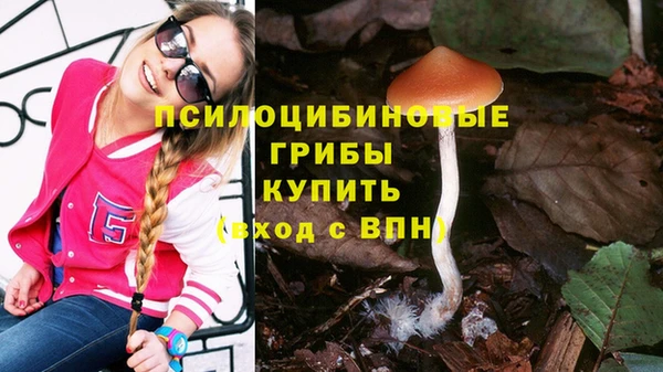 мяу мяу мука Алексеевка