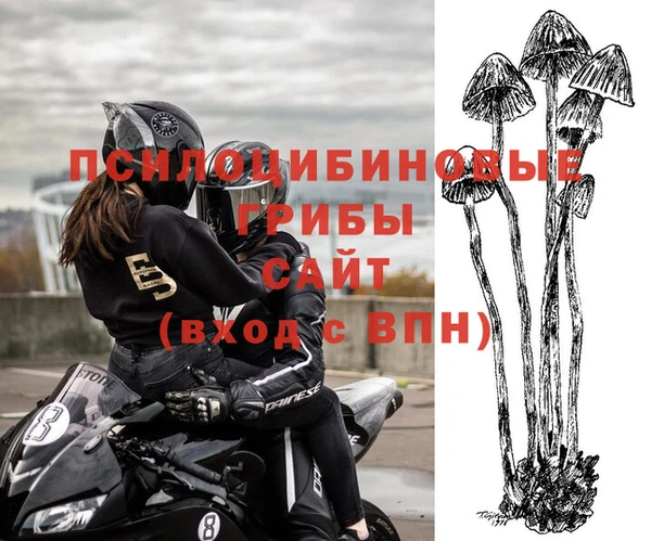 мяу мяу мука Алексеевка