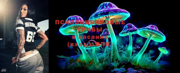 бошки Новодвинск