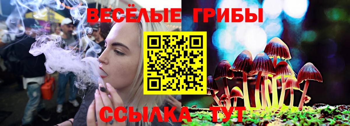 Углич  Галлюциногенные грибы мицелий  Галлюциногенные грибы Cubensis  Вход с VPN 